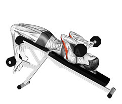 槓鈴下方斜緊握頭骨推舉 demonstration