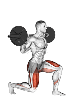 Image of Barbell Split Squat
