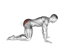 بيٽ ٽنگ ڪڪ بيڪ demonstration