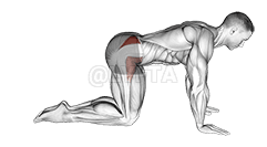 बेंट लेग साइड किक demonstration