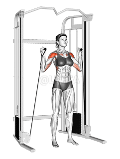 ケーブルオルタネートショルダープレス demonstration