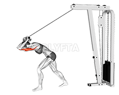 Prodloužení horního tricepsu s vysokou kladkou lanové tyče demonstration