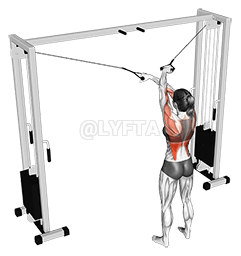 Incrocio del cavo sul pulldown laterale demonstration