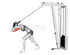 Cable High Pulley Okugaziya Tricep waggulu demonstration