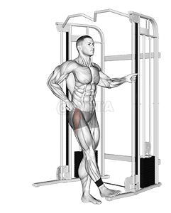 Abdución de cadeira por cable demonstration