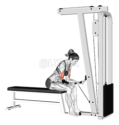 Curvatura assentada no cabo demonstration