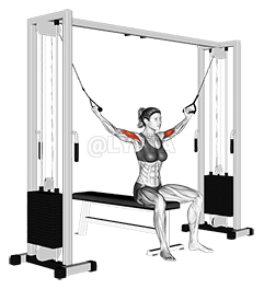 Curvatura suspensa com cabo assentado demonstration