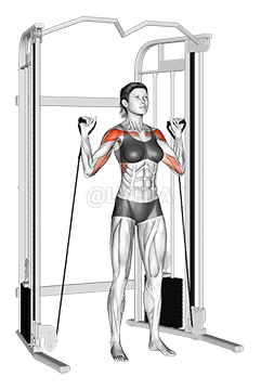 Thumbnail for the video of exercise: Cable Shoulder Press