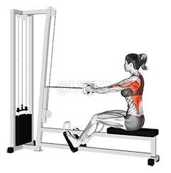 केबल सिधा पछाडि बसेको पङ्क्ति demonstration