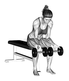 Curvas de dedo com halteres demonstration