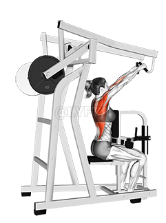 Lever High Row demonstration