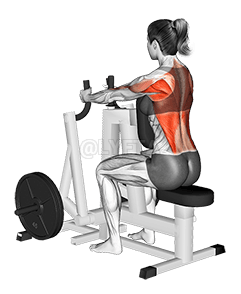 Lever Narrow Grip Seated Kab demonstration