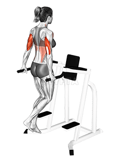 ट्राइसेप्स डिप demonstration