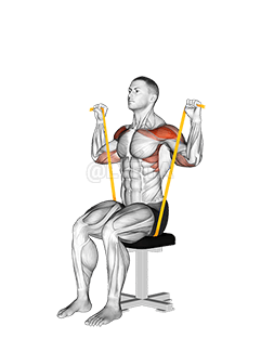 Motstandsbånd sittende skulderpress demonstration