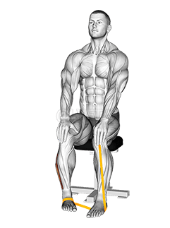 Modstandsbåndsfod Eversion demonstration