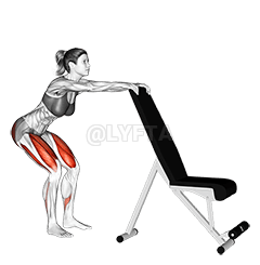 Potty Squat with Support demonstration