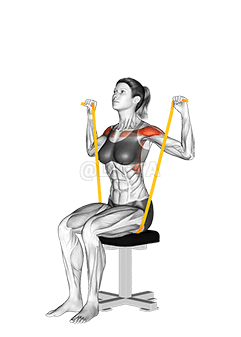 የመቋቋም ባንድ ተቀምጦ ትከሻ ይጫኑ demonstration