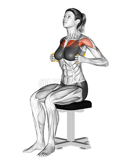 Brustpresse mit Widerstandsband im Sitzen demonstration