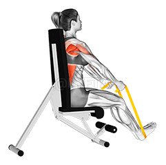 Widerstandsband im Sitzen gerade in der hinteren Reihe demonstration