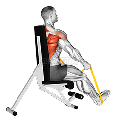 Widerstandsband im Sitzen gerade in der hinteren Reihe demonstration