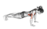 Push-up plus demonstration