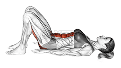 骨盆倾斜 demonstration