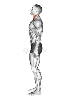 下巴德 demonstration