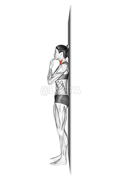 Assisted Chin Tuck demonstration