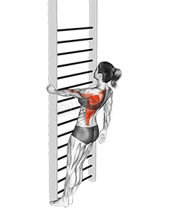 Ŋutilã ƒe kpekpeme Tsitretsitsi Kplɔ Abɔ Ðeka ƒe Fli demonstration