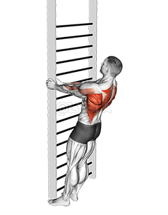 Thumbnail for the video of exercise: शारीरिक तौल स्ट्यान्डिङ क्लोज-ग्रिप रो