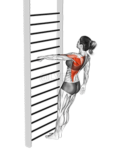 自重立位片腕ロー demonstration