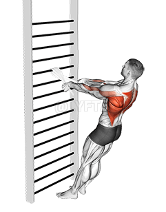 自重スタンディングロー demonstration