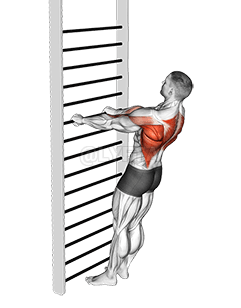 Peso corporal Fila de pie rehegua demonstration