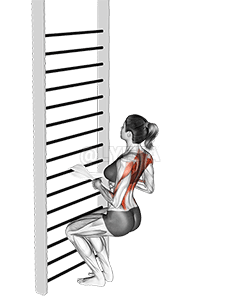 Peso Corporal rehegua Fila de Squatting demonstration