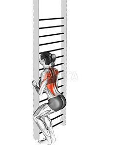 Gorputz-pisua okupatzeko errenkada demonstration