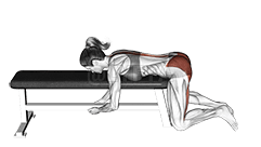 Frog Reverse Hyperextension demonstration