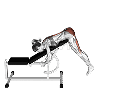 Incline Reverse Hyperextension demonstration