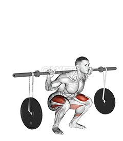 Barbell Squat demonstration
