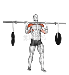 बारबेल मिलिट्री प्रेस demonstration