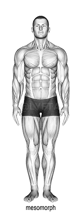 Thumbnail for the video of exercise: Тип тяло