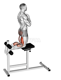 글루트 햄 레이즈 demonstration