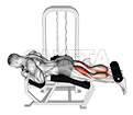 Thumbnail for the video of exercise: Lever Lying Two-One Leg Curl