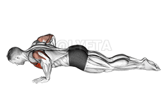 Knielende push-up demonstration