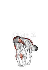 Basic Toe Touch demonstration