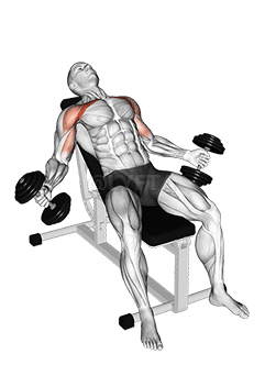 Mosca com halteres alta demonstration