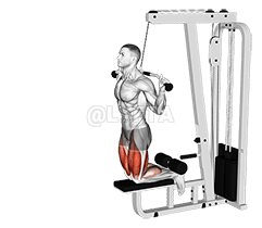 Kabelstøttet omvendt benkrølle demonstration