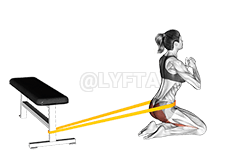 Empujes de cadera con banda de resistencia sobre las rodillas demonstration