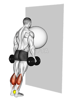 Bole ya ngalasisi na Mur Calf Raise demonstration