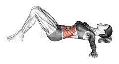 लेटकर पीठ के निचले हिस्से में खिंचाव demonstration