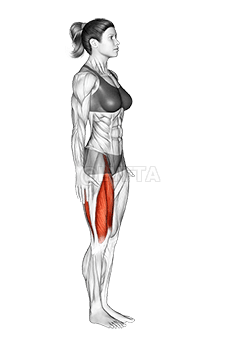 Knee Raise demonstration